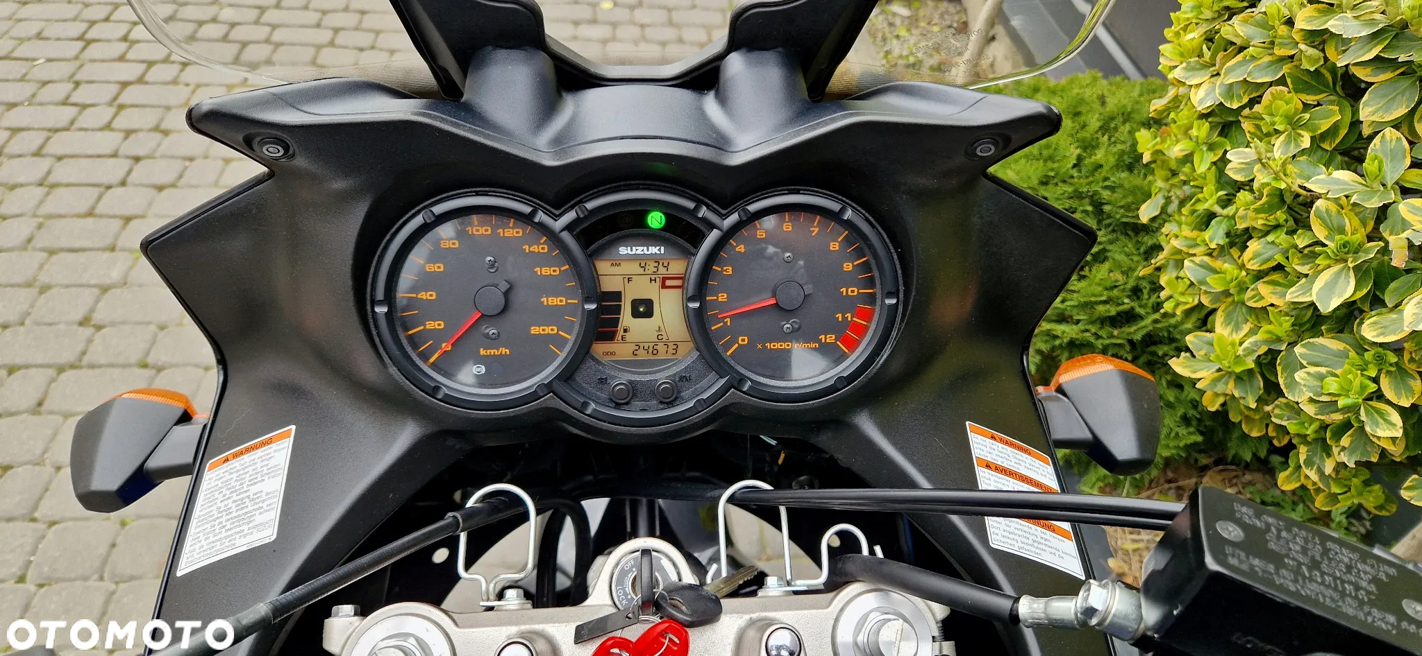 Suzuki DL - 10