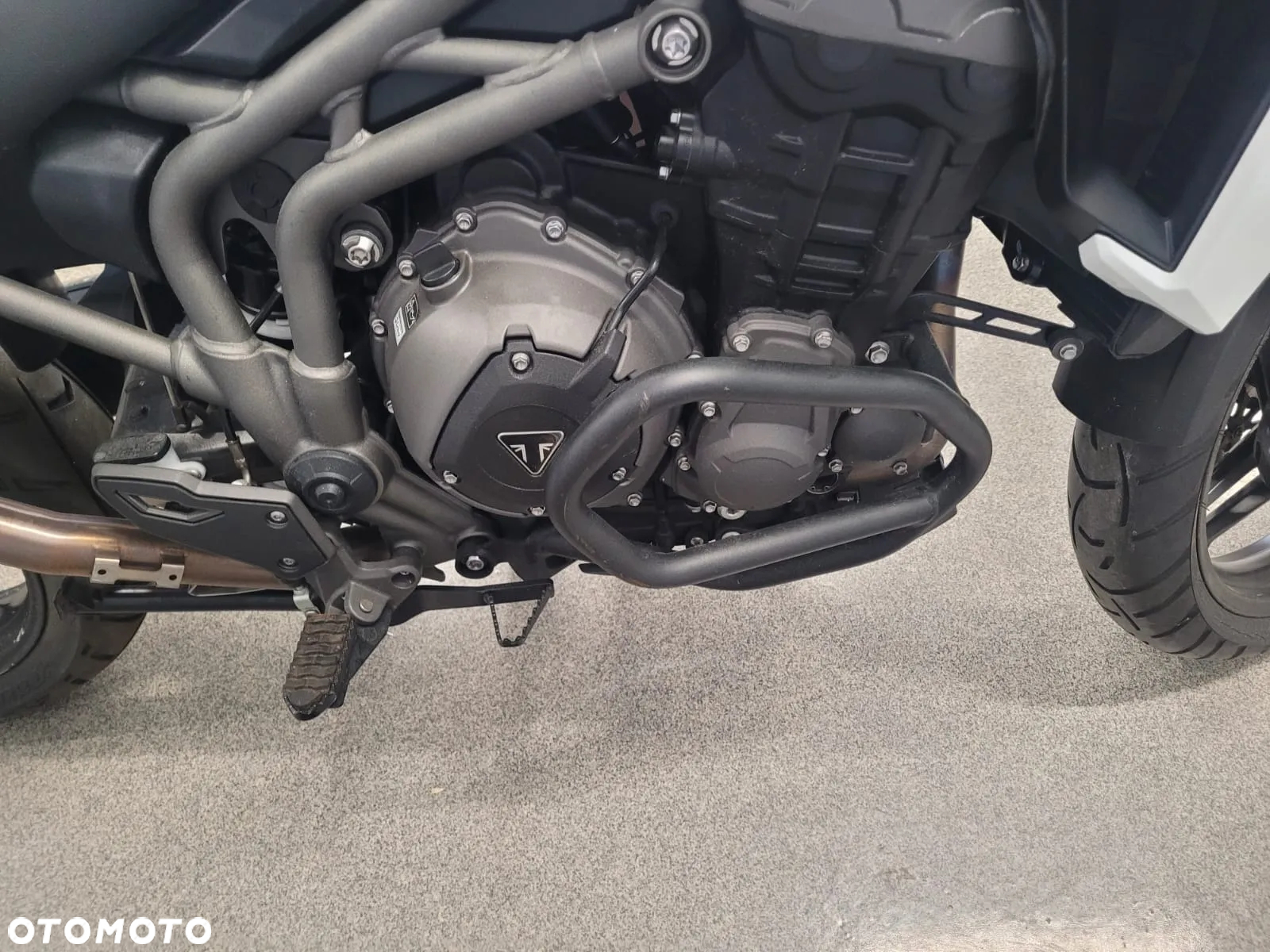 Triumph Tiger - 8