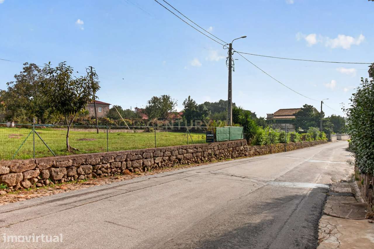 TerrenoTerreno de Construção em Alvito S. Martinho - Grande imagem: 4/13