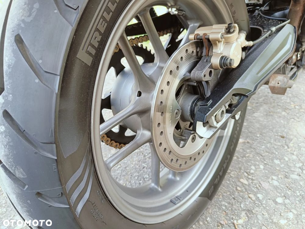 Triumph Tiger - 19