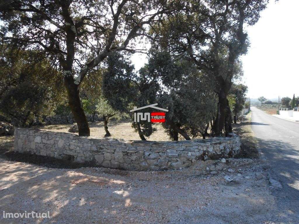 Terreno para construção - Grande imagem: 3/10