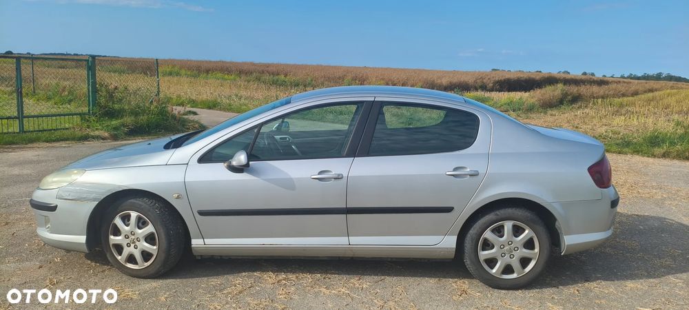 Peugeot 407 - 7