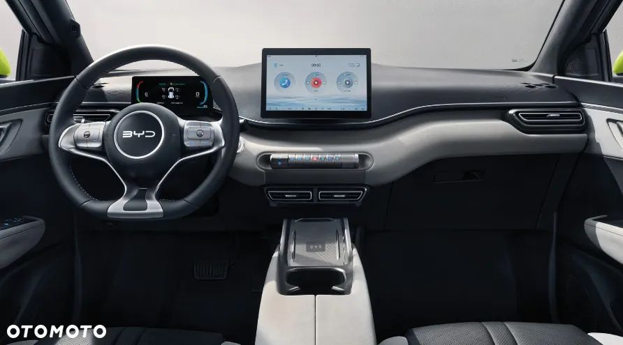 BYD Dolphin Surf - 2