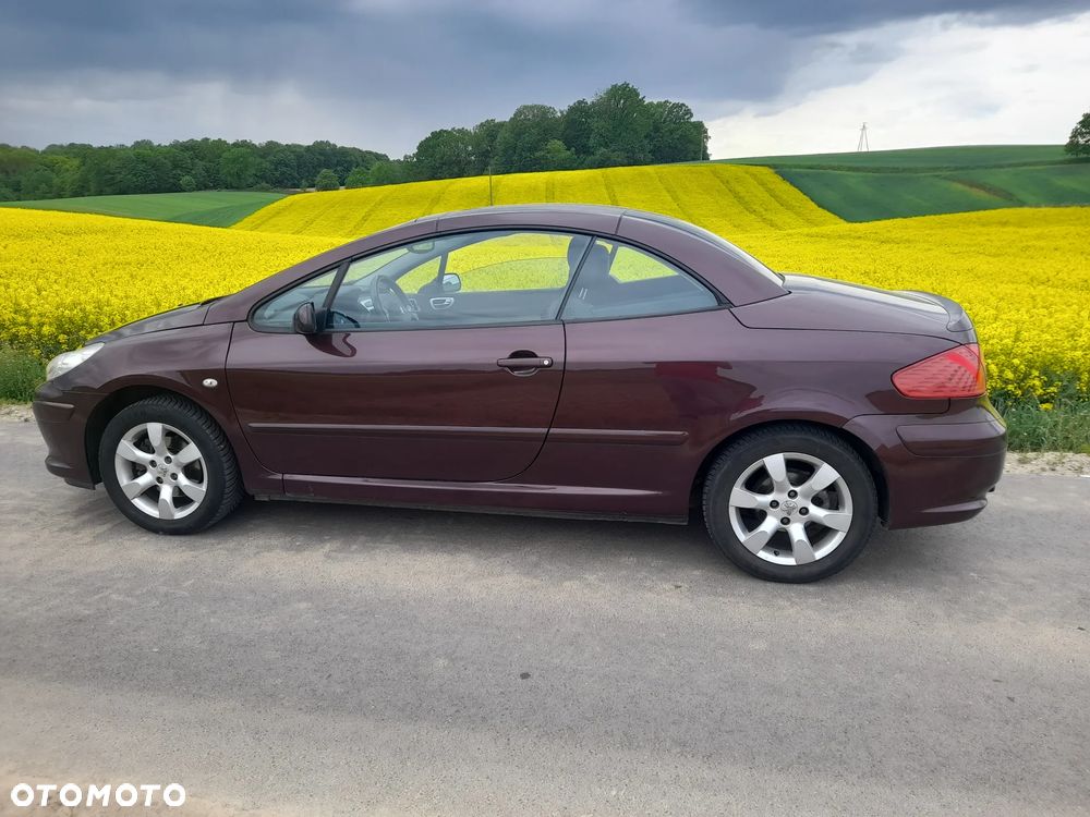 Peugeot 307 CC - 2