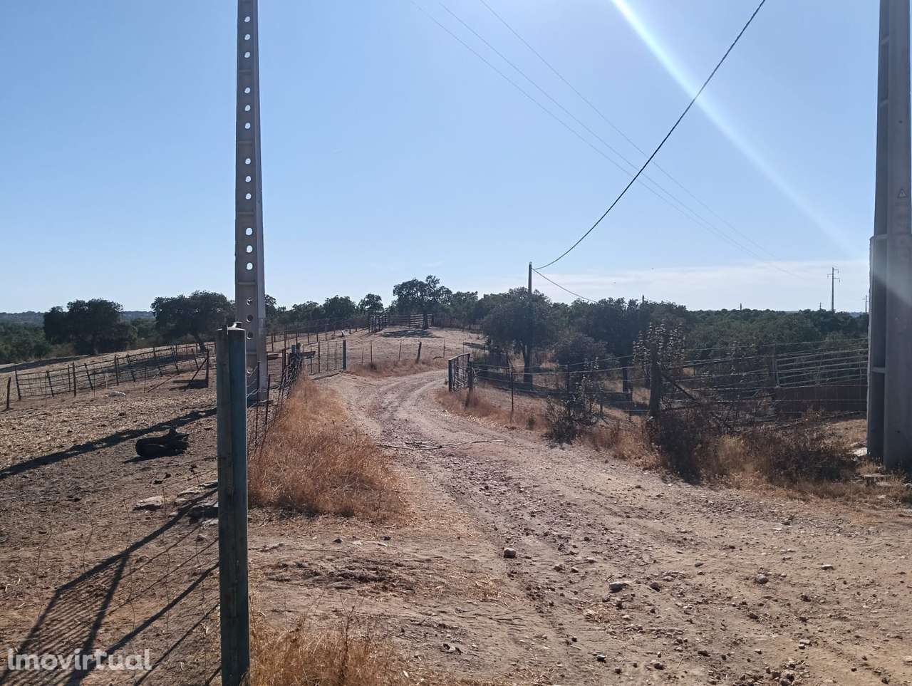 HERDADE | VENDA | ALENTEJO | SERPA - Grande imagem: 4/49