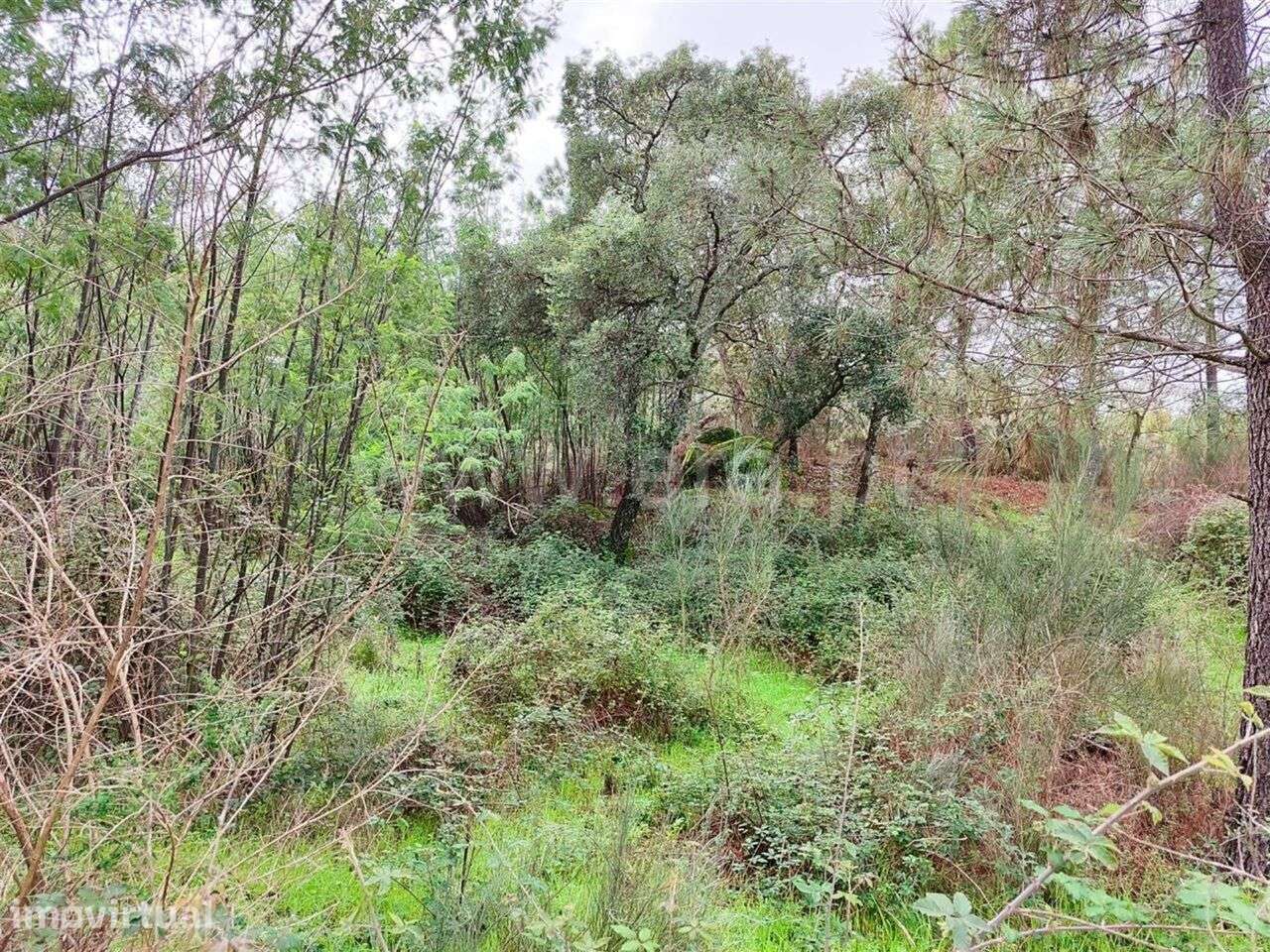 Terreno / Fundão, Póvoa da Atalaia - Grande imagem: 3/14