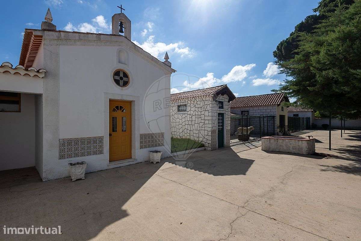 Quinta T10 para venda - Grande imagem: 5/50