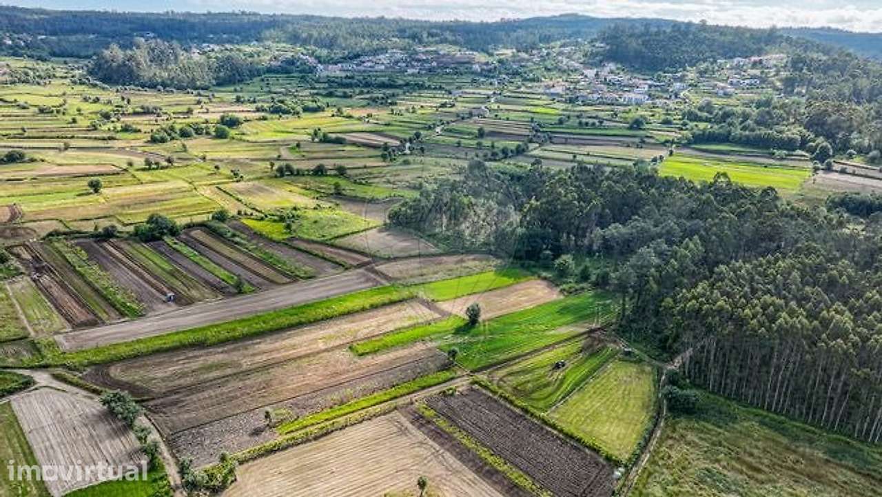 Terreno  para venda - Grande imagem: 2/6