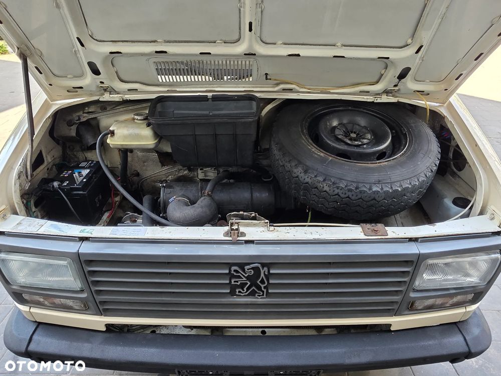 Peugeot J5 - 19