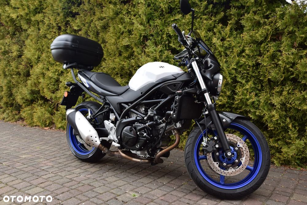 Suzuki SV