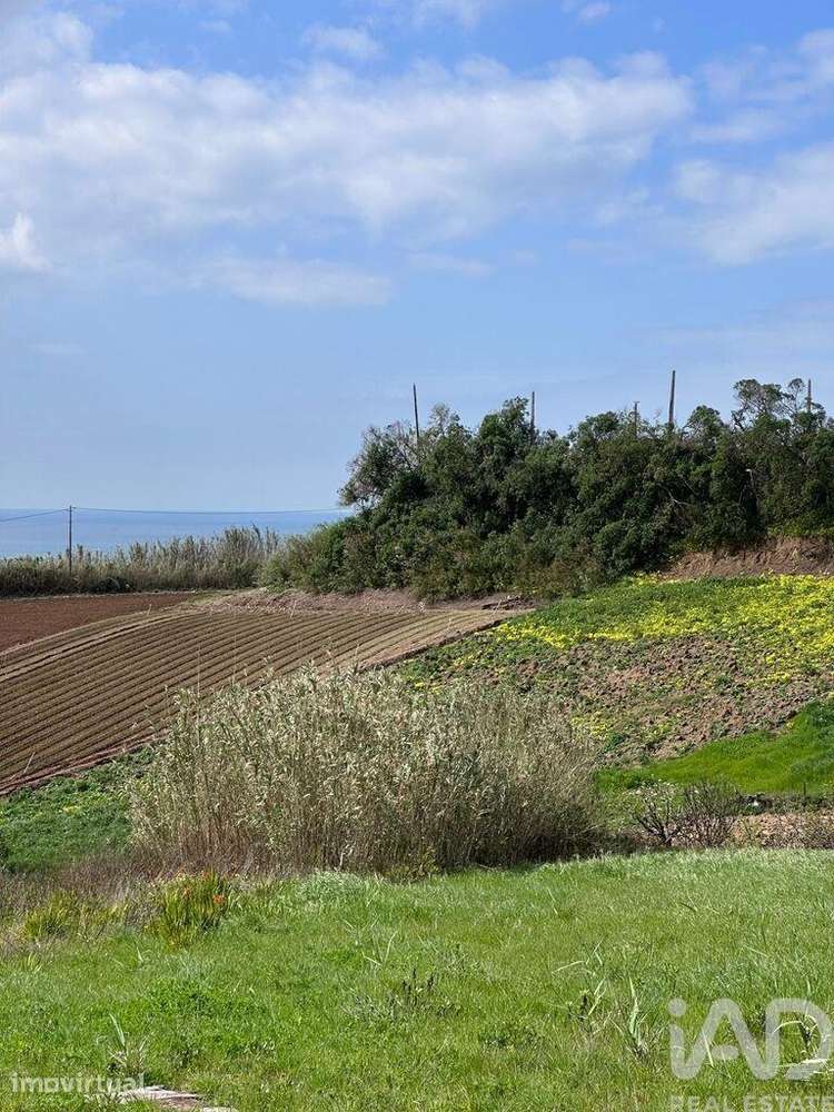 Terreno em Lourinhã e Atalaia de 3960,00 m2 - Grande imagem: 3/29