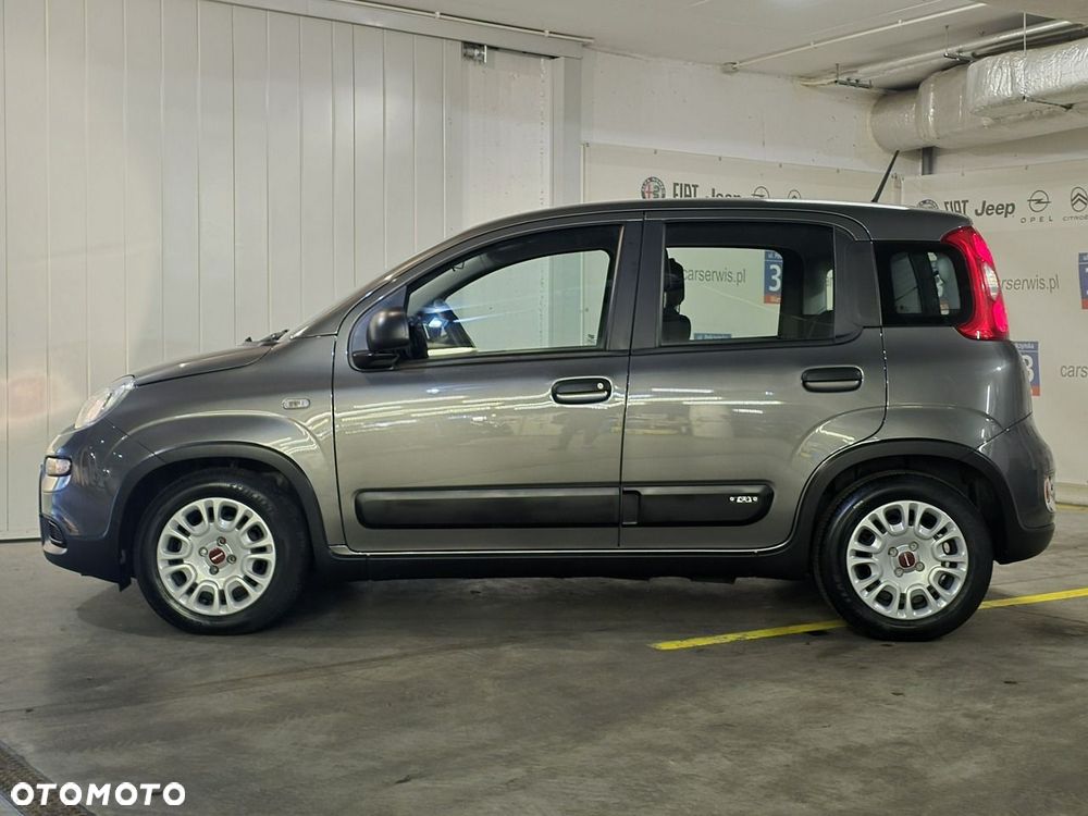 Fiat Panda - 3