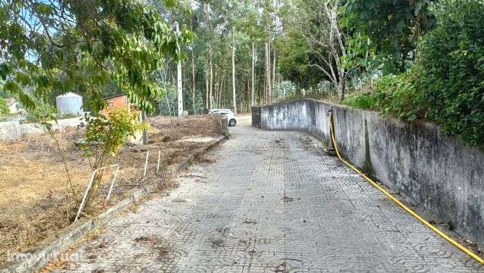 Prédio Misto - Albergaria a Velha - Grande imagem: 3/5