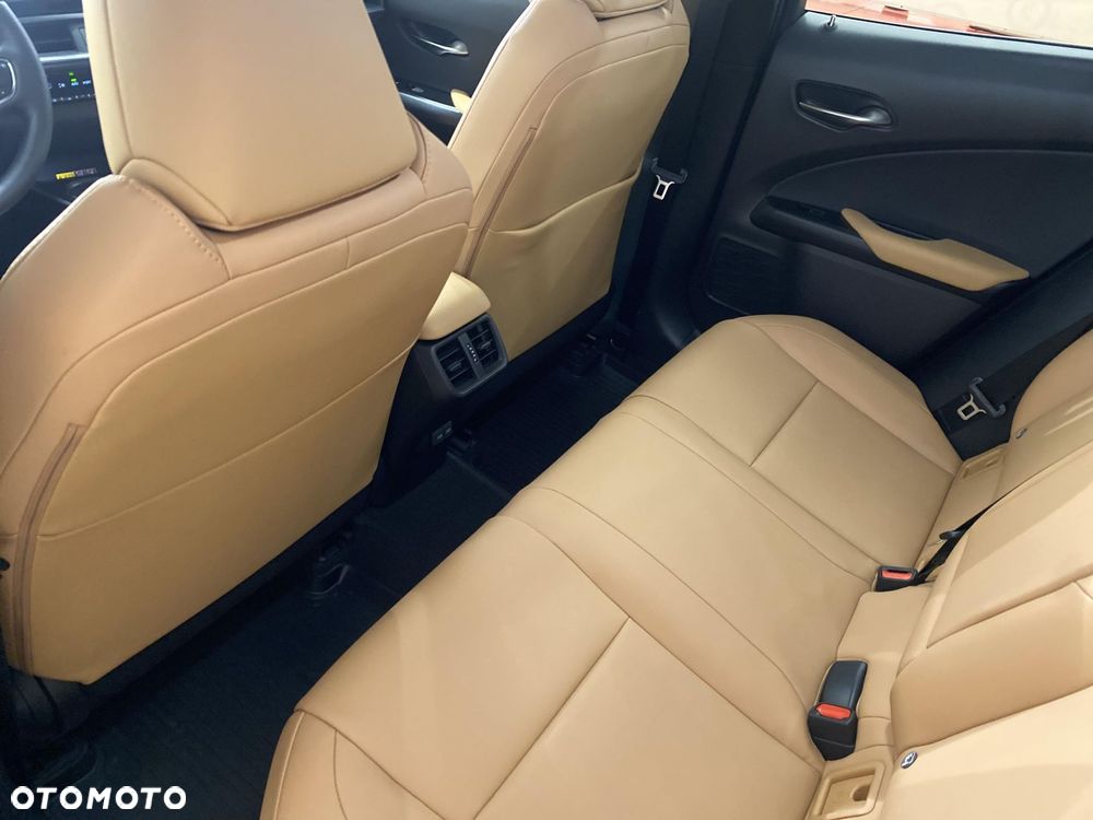 Lexus UX 250h GPF F Sport Design 2WD - 11