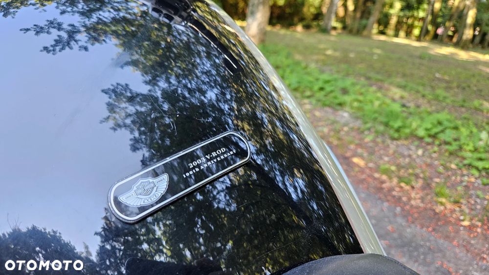 Harley-Davidson Softail V-Rod - 12