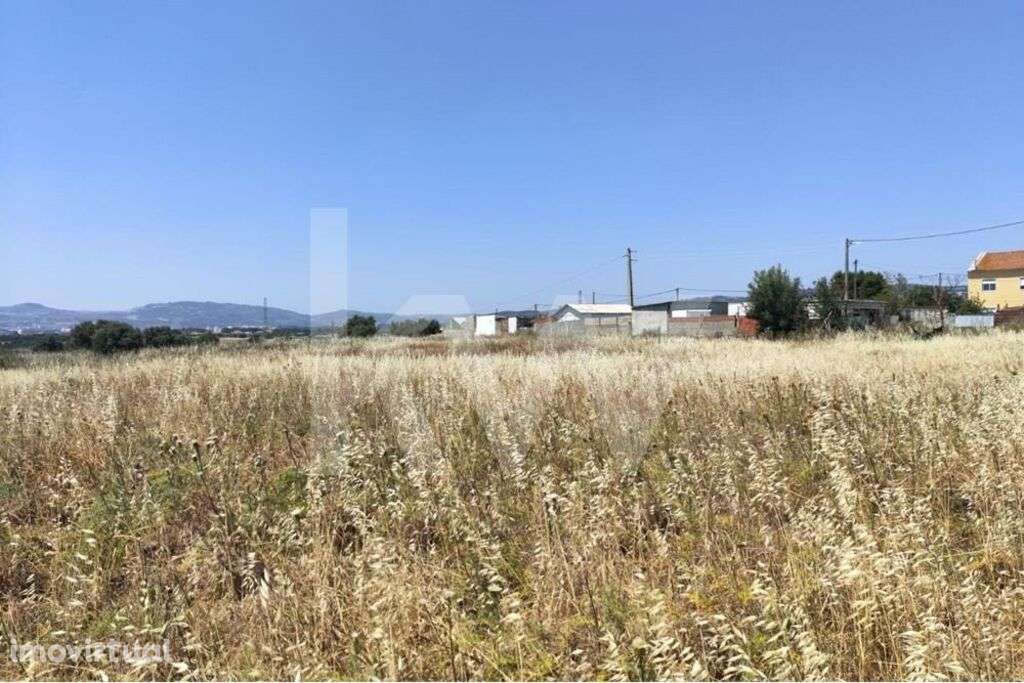 Terreno Agricola - Grande imagem: 2/3