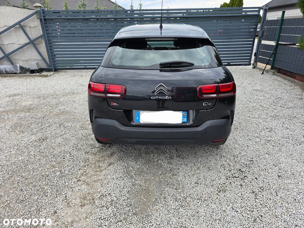 Citroën C4 Cactus BlueHDi 100 Stop&Start Shine - 12