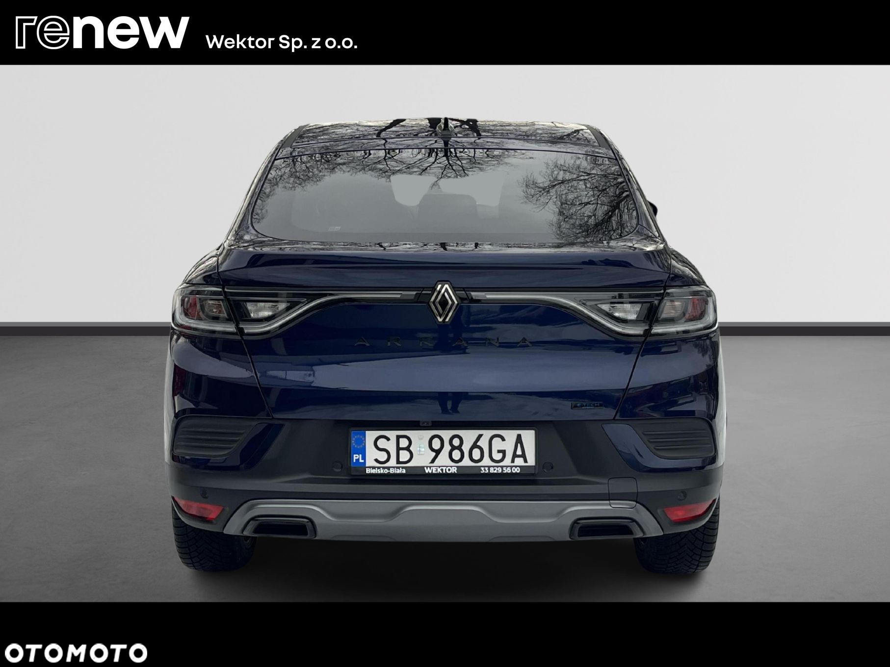 Renault Arkana - 4