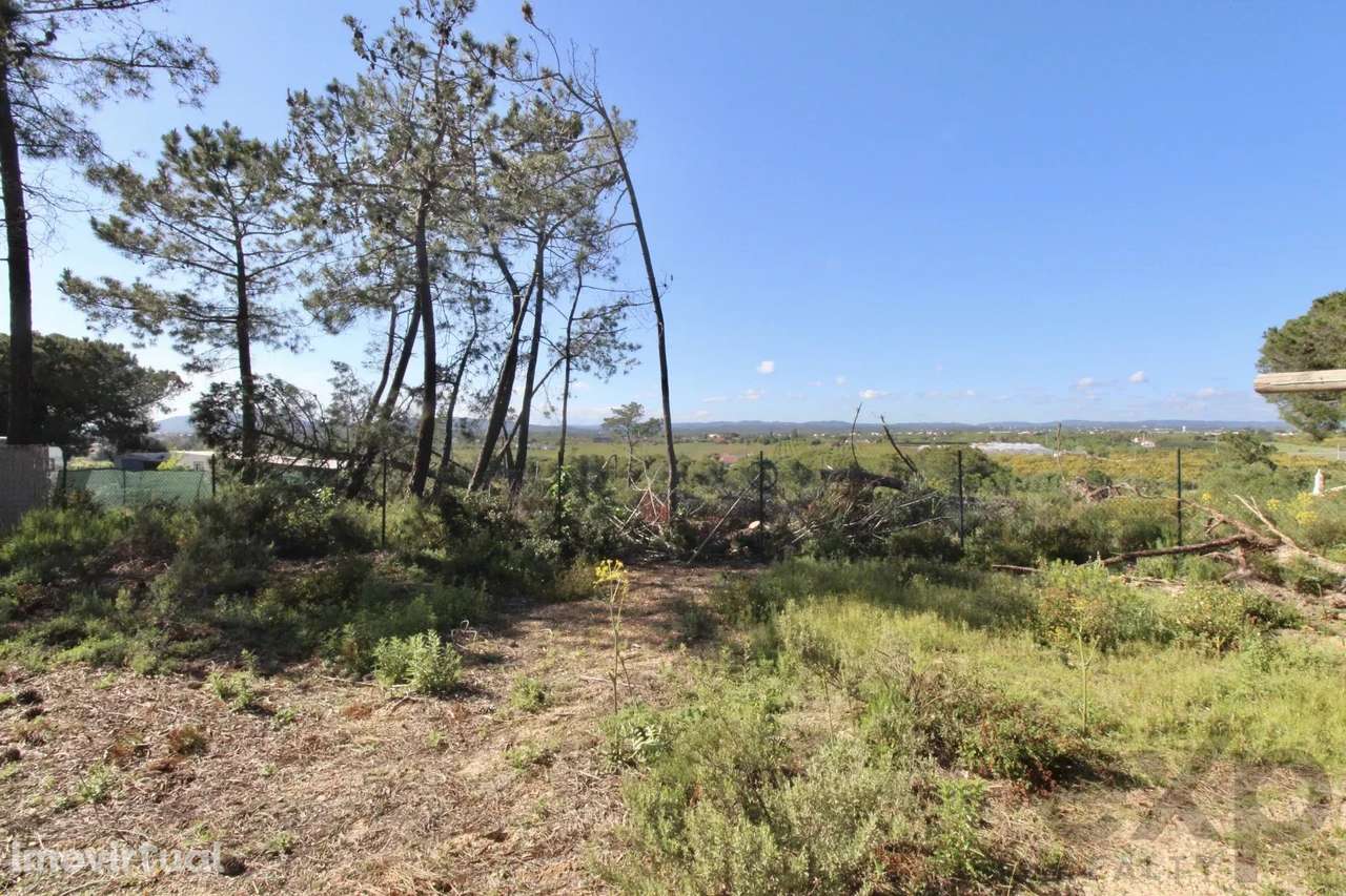 Arrendamento temporario em ambiente natural e sereno - Grande imagem: 2/12