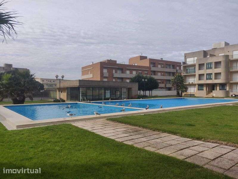Apartamento T1 Apúlia - Grande imagem: 3/10