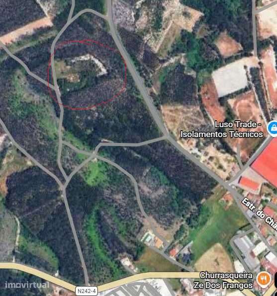 Terreno rustico Juncal - Grande imagem: 2/2