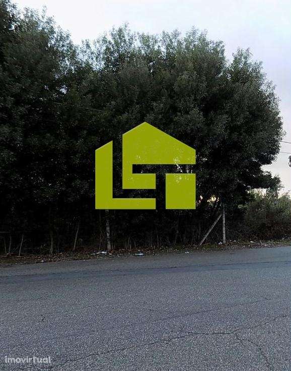 Terreno Urbano em Santa Maria da Feira - Grande imagem: 4/5