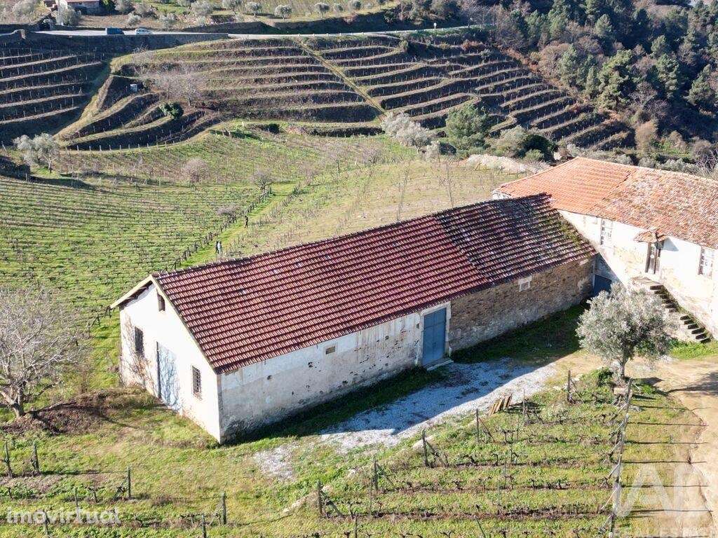 Quinta em Alijó de 872,00 m2 - Grande imagem: 4/30