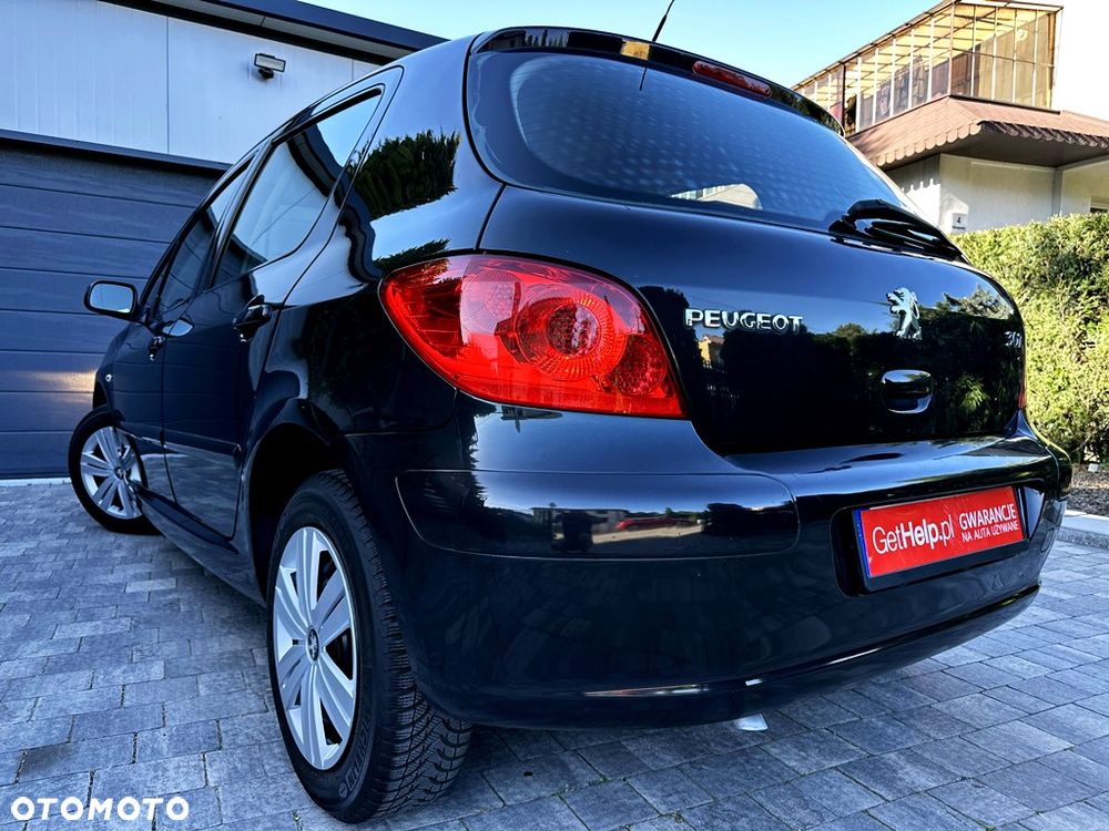 Peugeot 307 110 Premium - 30