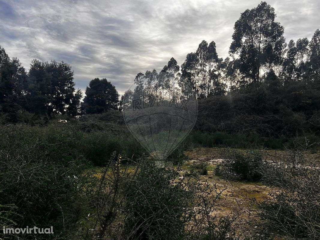 Terreno  para venda - Grande imagem: 3/10