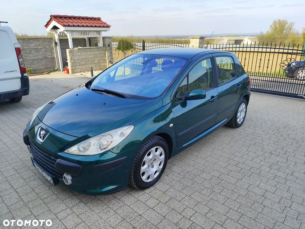 Peugeot 307 1.6 - 1