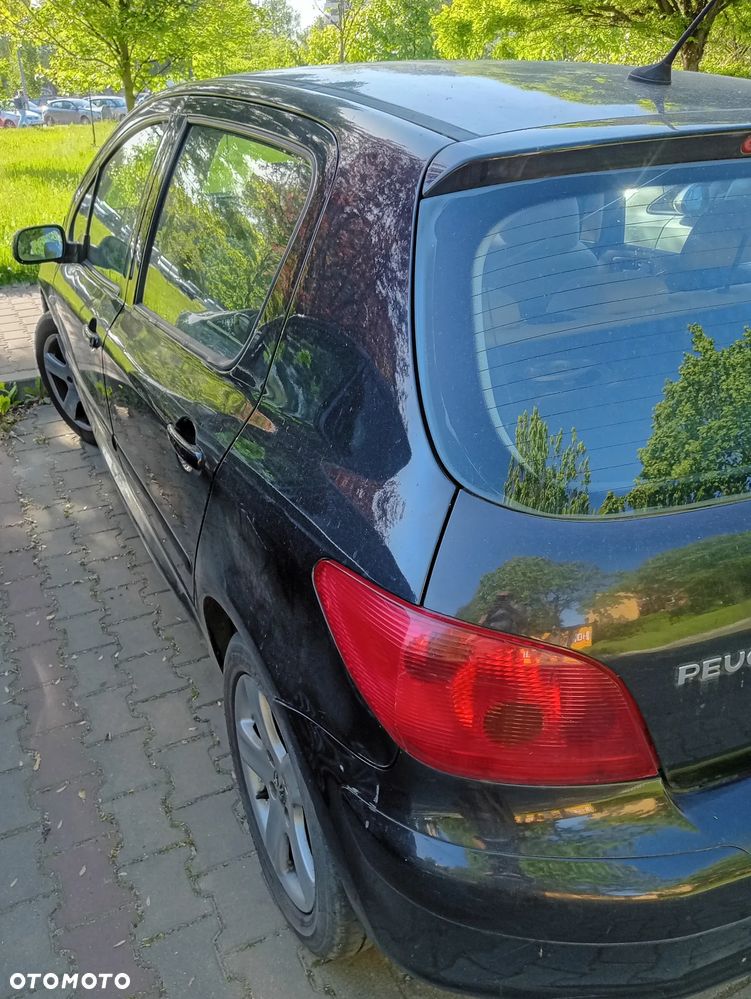 Peugeot 307 - 5