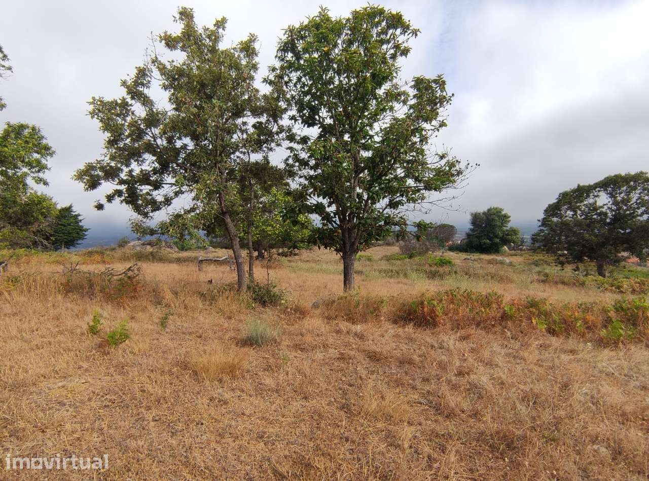 Quintinha  Venda em Figueiró da Serra e Freixo da Serra,Gouveia - Grande imagem: 2/6