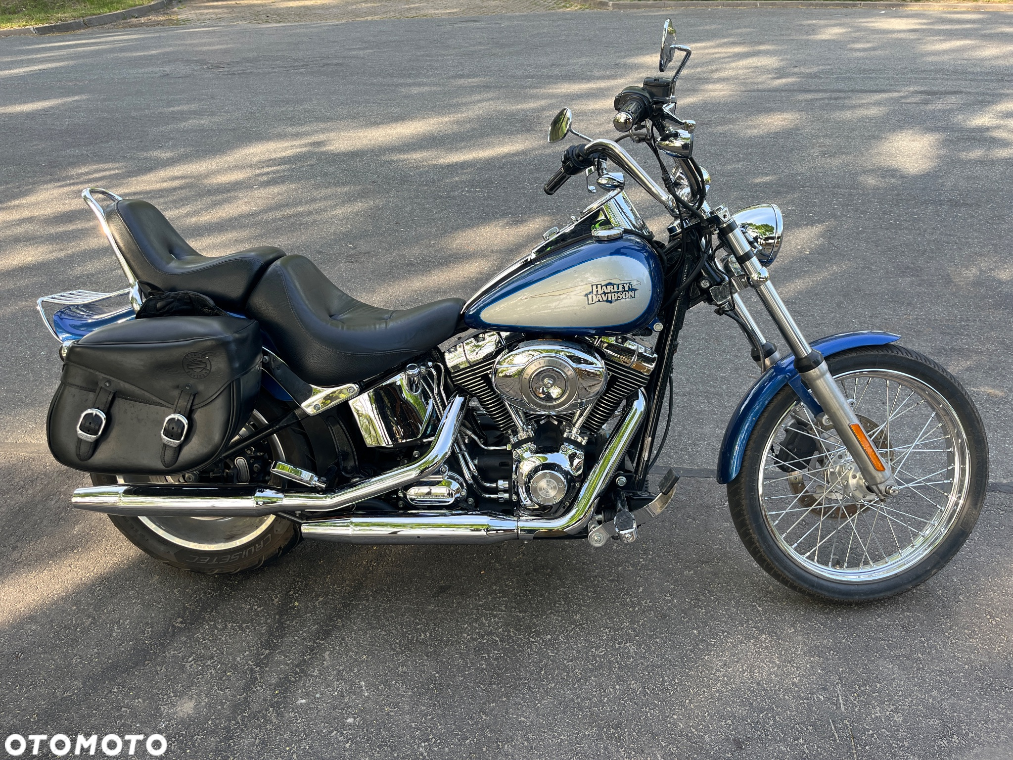 Harley-Davidson Softail Custom - 2