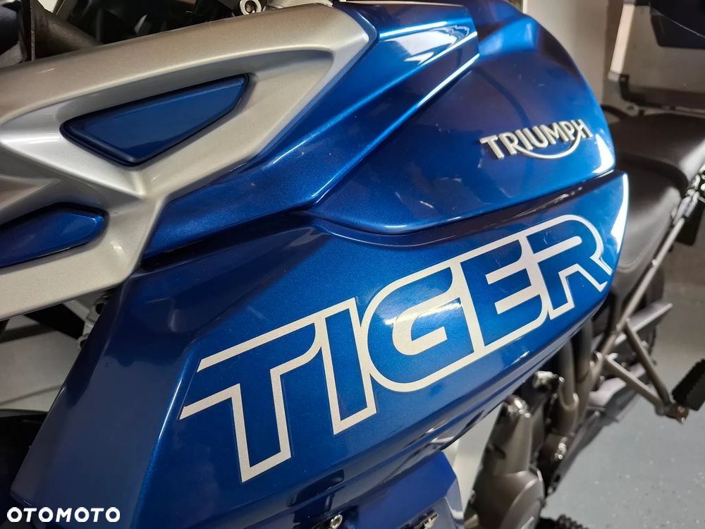 Triumph Tiger - 14