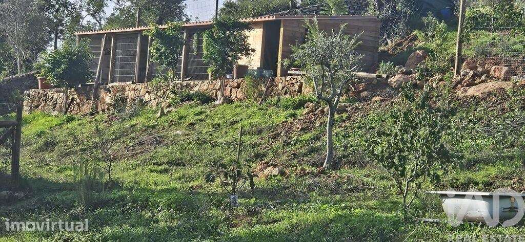 Terreno Agrícola em Boliqueime - Grande imagem: 2/16