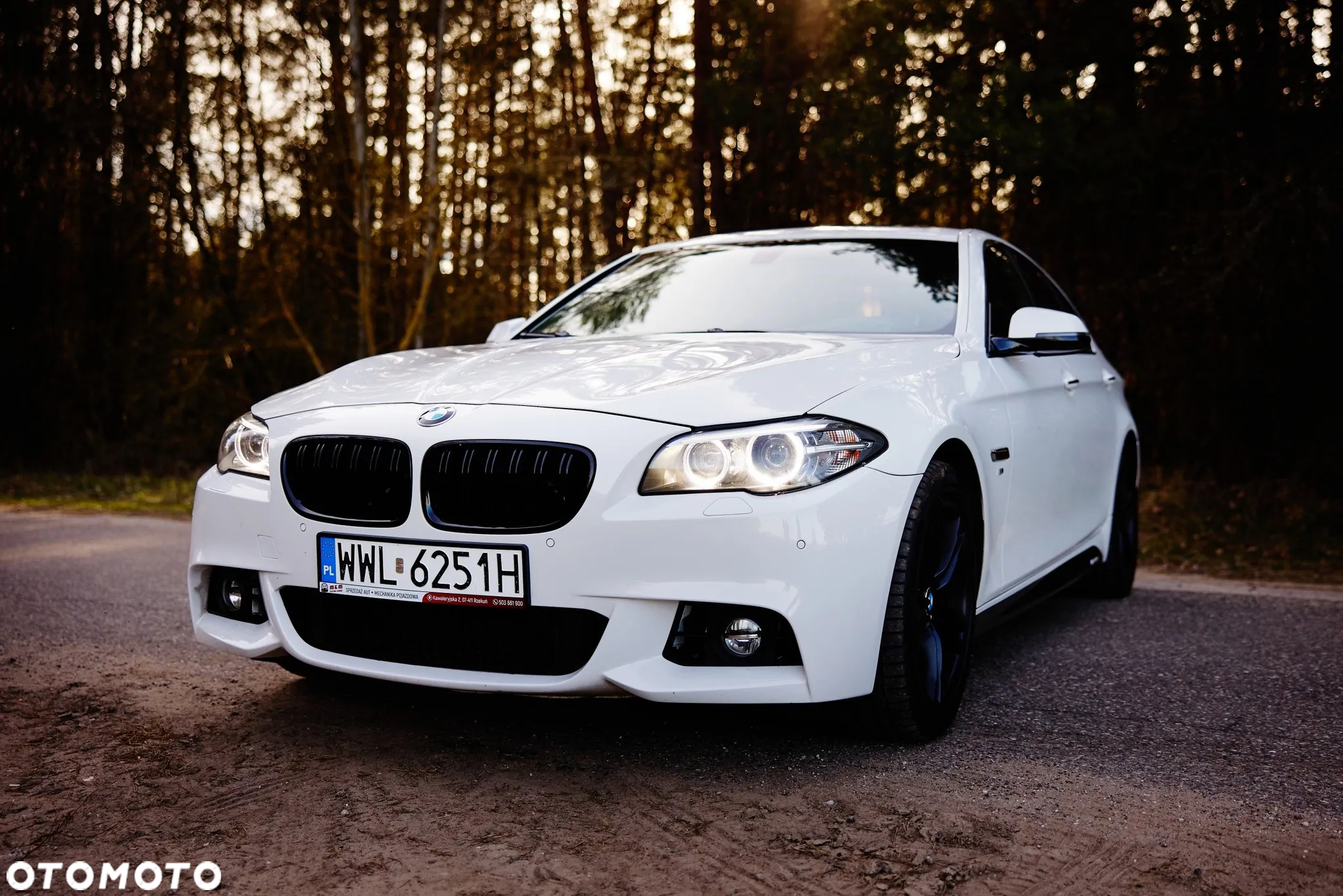 BMW Seria 5 528i xDrive Sport-Aut - 11