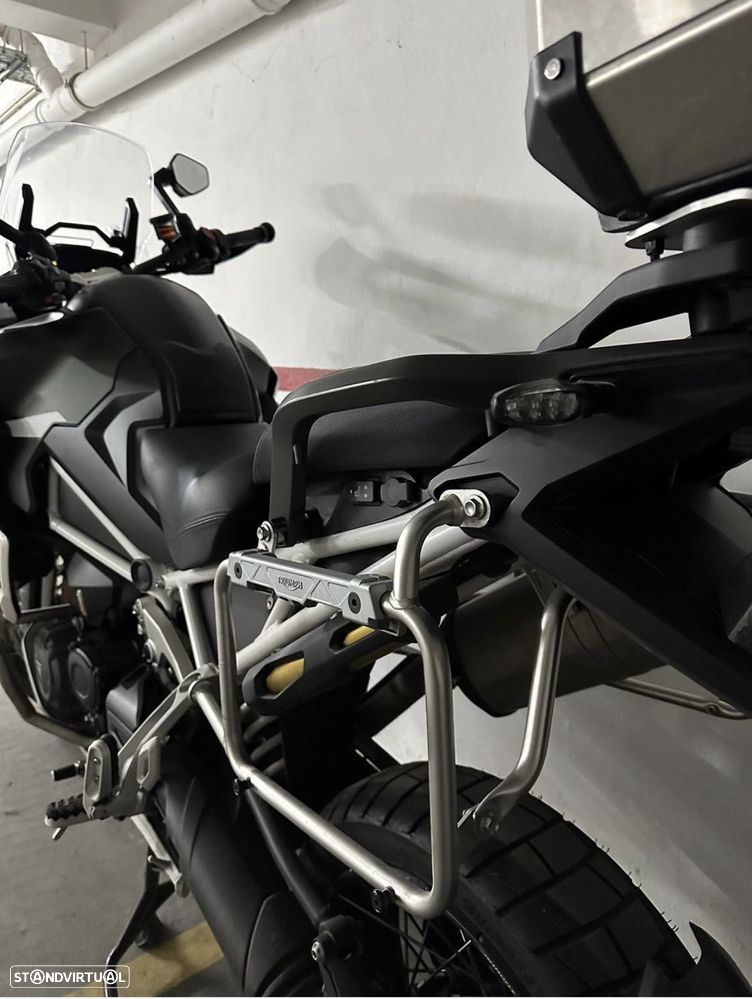 Triumph Tiger Rally Explorer - 5