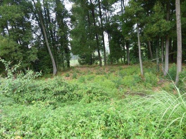 Terreno Monte da Vigem para construção - Grande imagem: 4/5