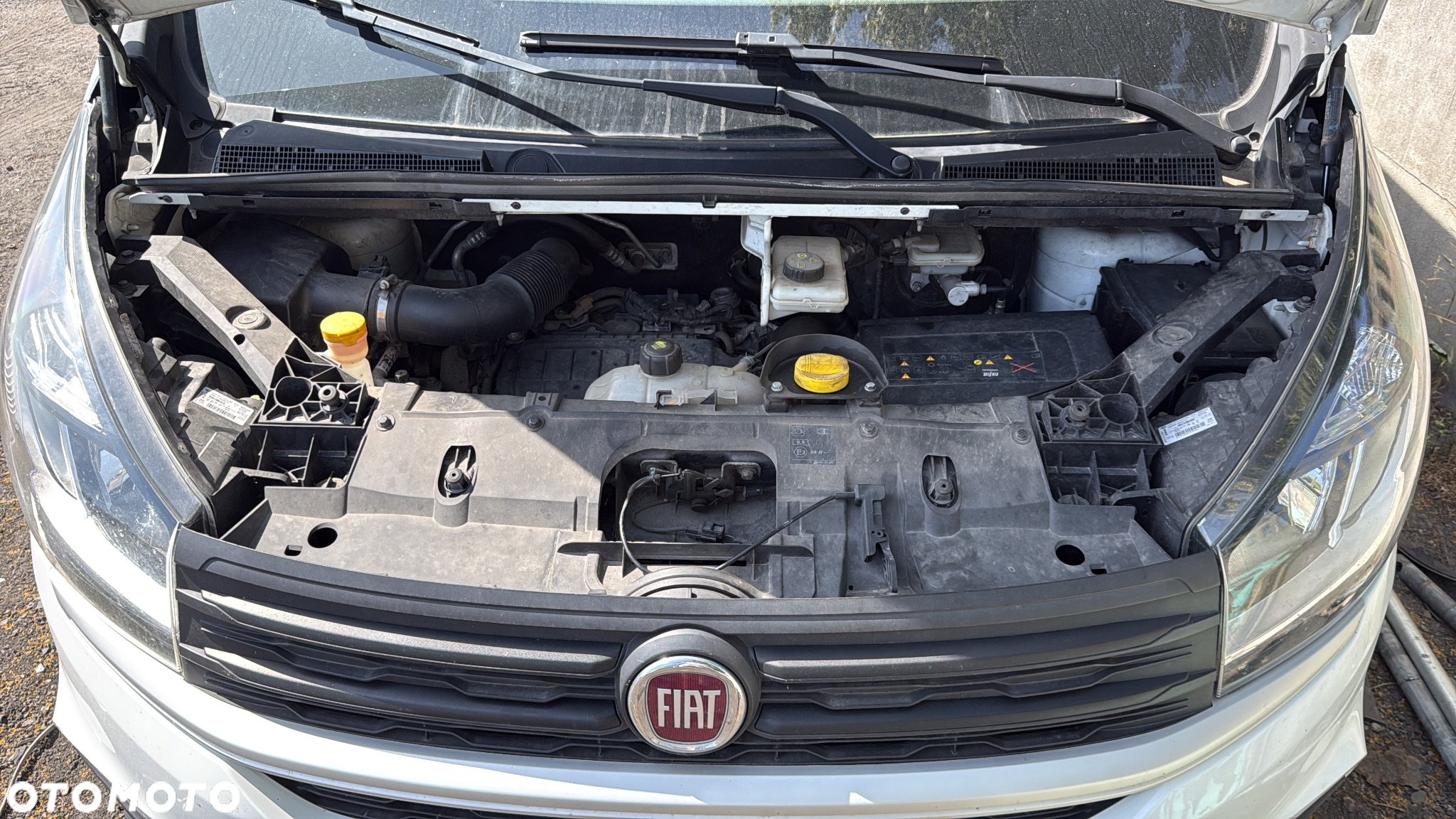 Fiat Talento - 15
