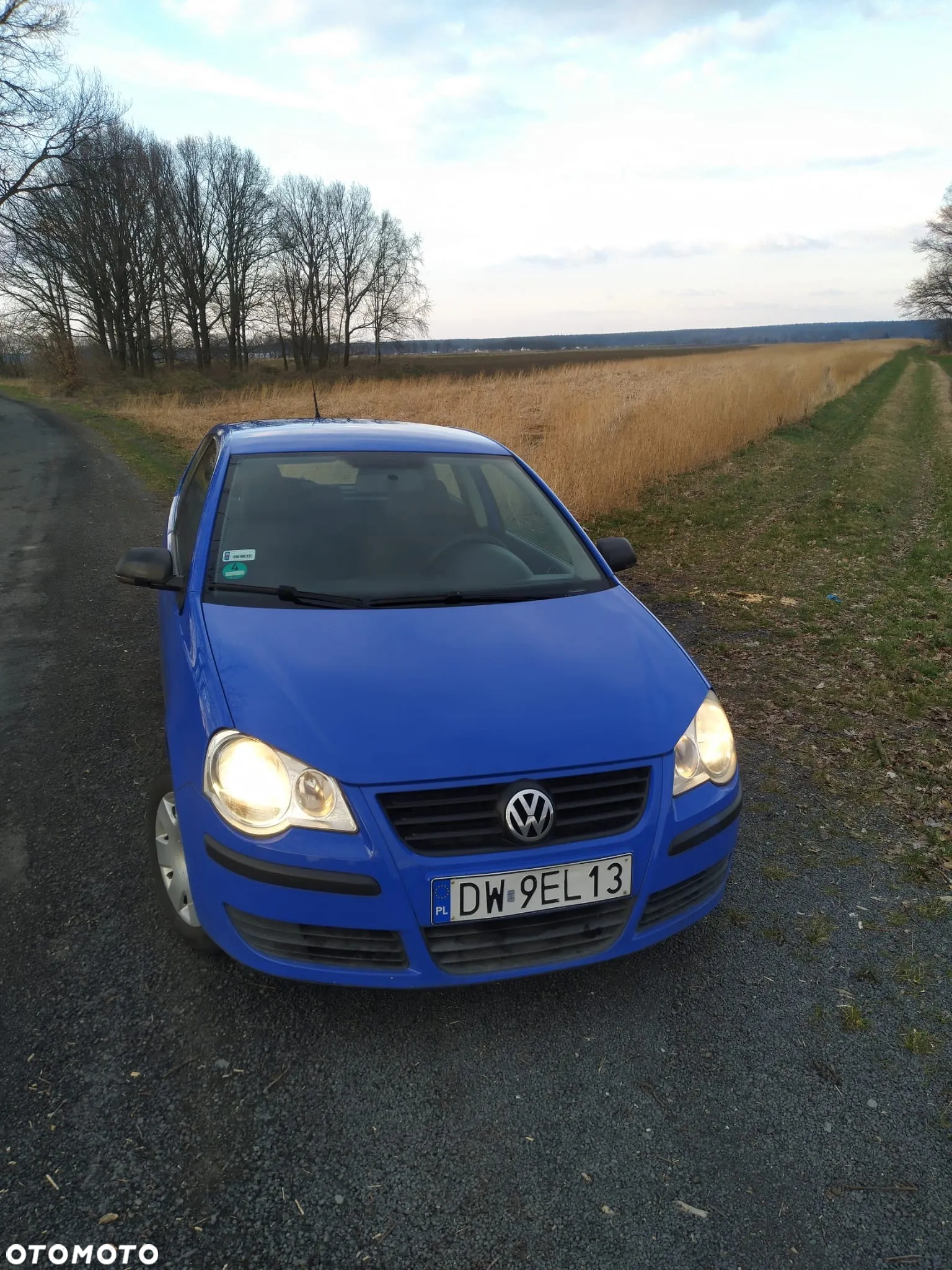 Volkswagen Polo - 10