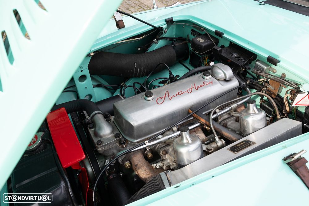 Austin Healey 100/4 - 21