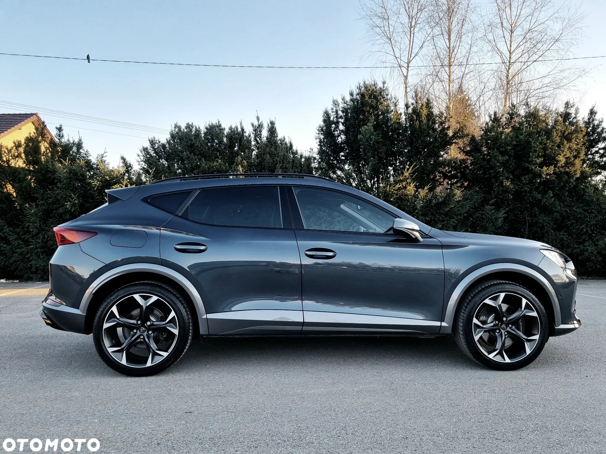 Cupra Formentor 2.0 TSI 4Drive VZ DSG - 3