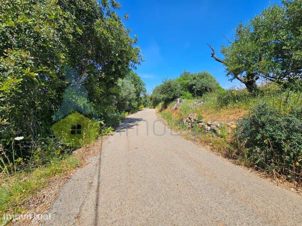 Terreno em zona rural, para agricultura e afins. Acesso alcatroado.... - Grande imagem: 2/7