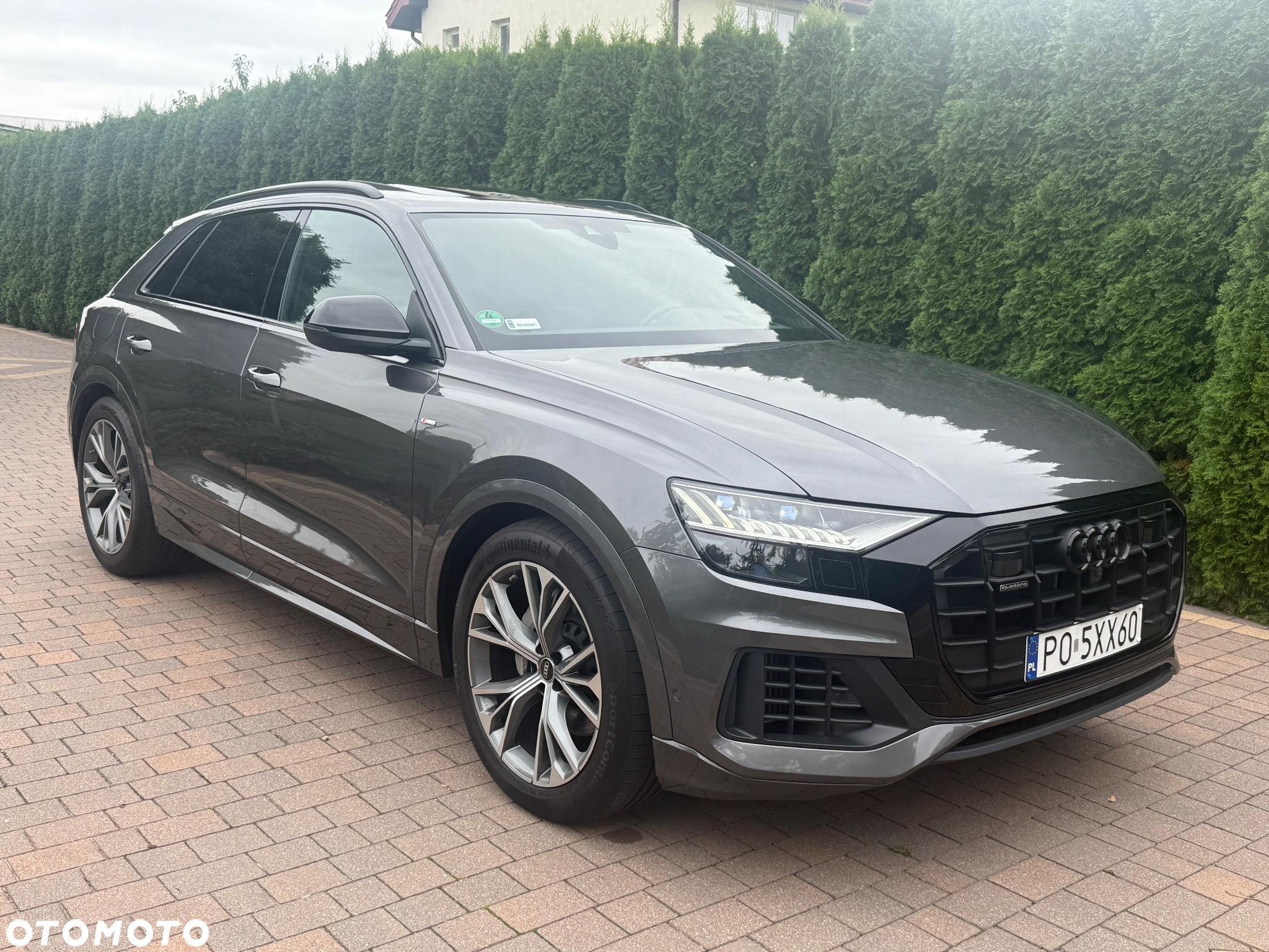 Audi Q8 - 19