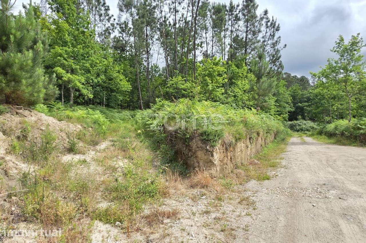 Terreno para construção- Fiscal, Amares - Grande imagem: 2/15