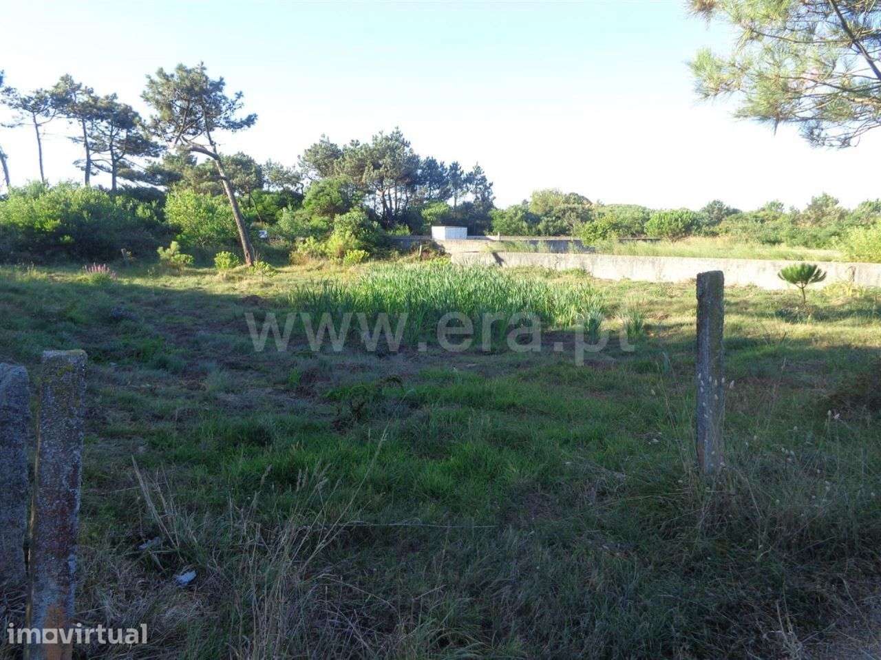 Terreno - Grande imagem: 2/6