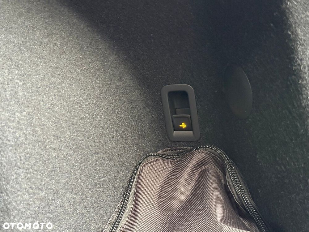 Cupra Terramar 2.0 TSI 4Drive DSG - 32