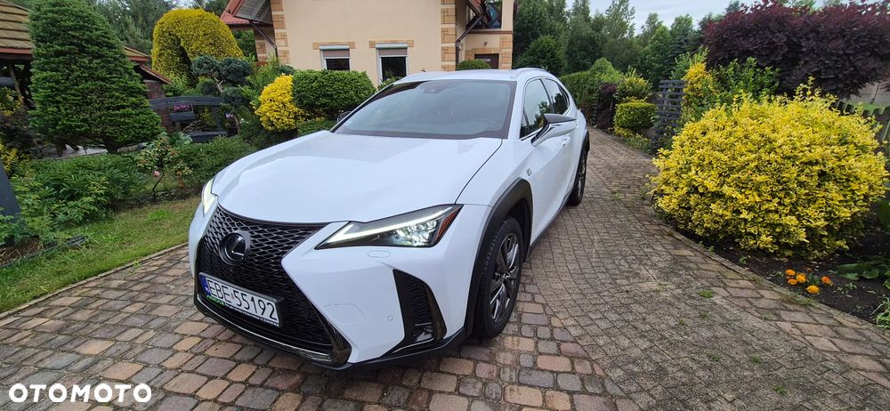 Lexus UX 250h GPF F Sport AWD - 8