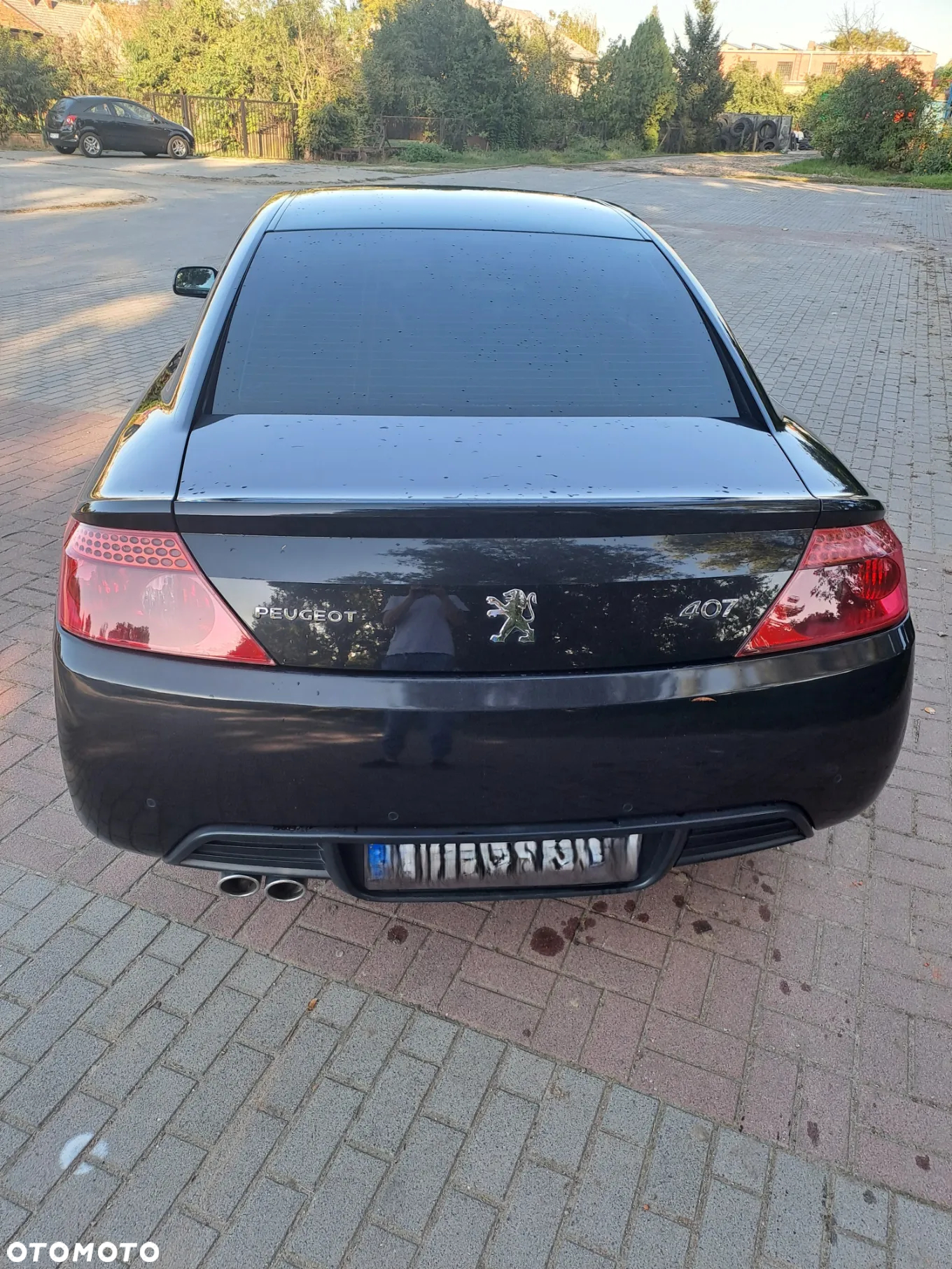 Peugeot 407 - 7