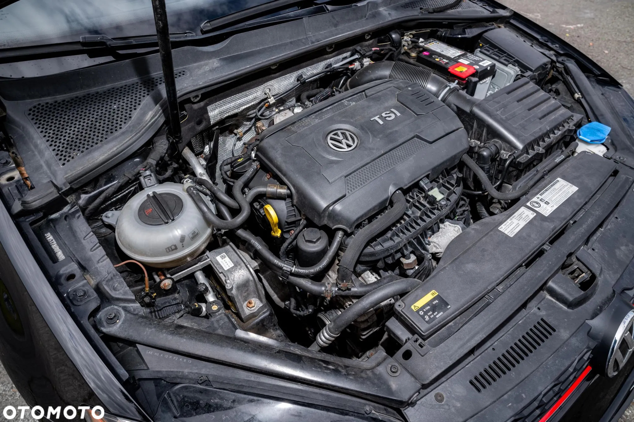 Volkswagen Golf - 30